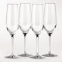 Open Kitchen by Williams Sonoma Champagne Flutes, Set of 12