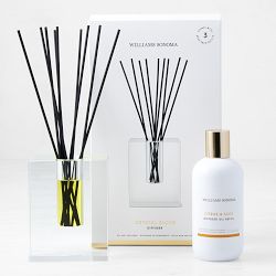 Williams Sonoma Crystal Block Diffuser and Refill Set, Citrus and Sage