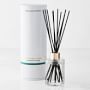 Home Fragrance Bergamot and Oak Reed Diffuser