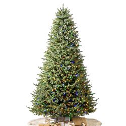 Balsam Hill Most Realistic Balsam Fir Faux Tree, 6.5'-12'