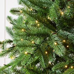 Balsam Hill Most Realistic Sierra Mountain Pre-Lit Spruce, 6.5'-9'