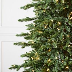 Balsam Hill Realistic Lake Tahoe Pre-Lit Faux Tree, 6.5'-9'