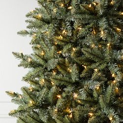 Balsam Hill Traditional Concolor Pre-Lit Fir Tree, 6.5'-7.5'