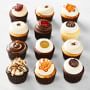 Georgetown Cupcake Thanksgiving Cupcakes, Set of 12