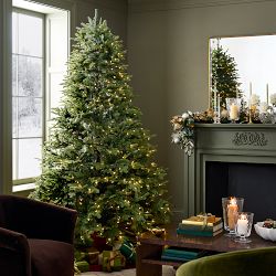 Balsam Hill Most Realistic Balsam Fir Faux Tree, 6.5'-12'
