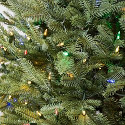 Balsam Hill Most Realistic Fraser Fir Narrow Faux Tree, 6.5'-12'