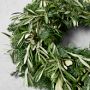 Olive &amp; Greenery Holiday Live Wreath &amp; Garland