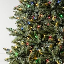 Balsam Hill Traditional Concolor Pre-Lit Fir Tree, 6.5'-7.5'