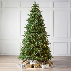 Balsam Hill Most Realistic Sierra Mountain Pre-Lit Spruce, 6.5', Micro LED