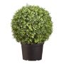 UV Protected Faux Boxwood Ball Topiary in Pot, 22"
