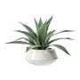 Faux Agave Plant in White Pot, 20.5"