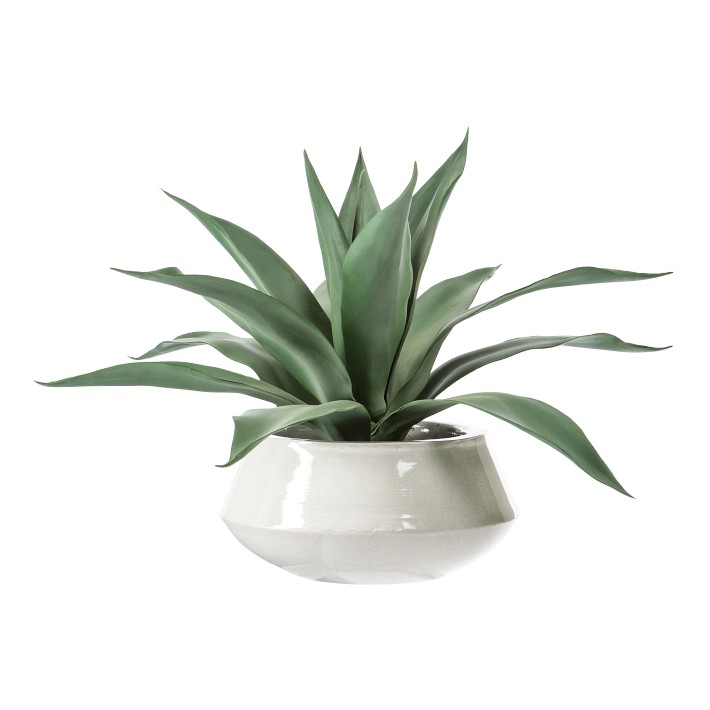 Faux Agave Plant in White Pot, 20.5"