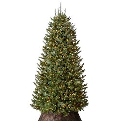 Balsam Hill Most Realistic Fraser Fir Narrow Faux Tree, 6.5' LED Clear
