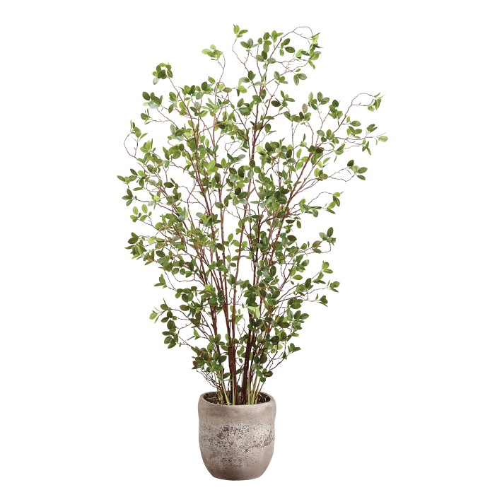 Faux Mini Leaf Tree in Cement Planter, 5'