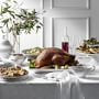 Apilco Lion's Head Tureen