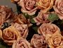 Video 2 for Jeff Leatham x Williams Sonoma Real Touch Faux Quicksand Rose Stems, Set of 12