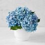 AERIN Faux Blue Hydrangea Arrangement in White Pot