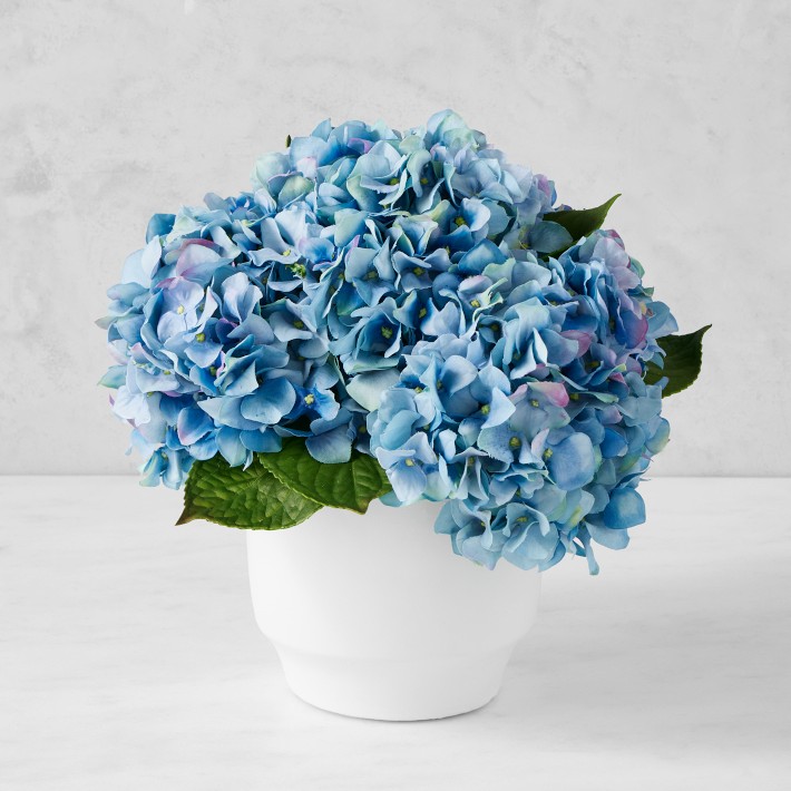 AERIN Faux Blue Hydrangea Arrangement in White Pot