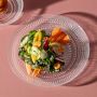Fortessa Jupiter Dinner Plates, Set of 4
