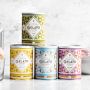 Williams Sonoma Gelato Starter, Mixed Berry
