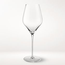 Williams Sonoma Chateau Sauvignon Blanc Glasses, Set of 4