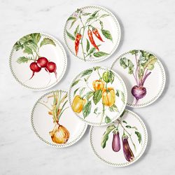 Garden Vegetable Salad Plates, Set of 6