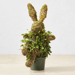 Potted Easter Bunny Ivy &amp; Moss Live Topiary, 16&quot;