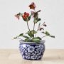 Blue &amp; White Ceramic Planter, Medium