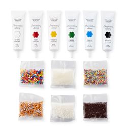 Williams Sonoma Icing &amp; Decorating Kit