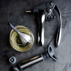 Williams Sonoma Signature Wine-Chilling Wands, Set of 2