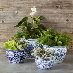 Blue &amp; White Ceramic Planter, Small