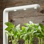 Click &amp; Grow Smart Garden System, 3-Pod, White