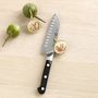 Zwilling Pro Santoku Knife
