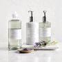 Williams Sonoma French Lavender Hand Lotion
