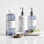 Williams Sonoma French Lavender Hand Soap &amp; Lotion 4-Piece Kitchen Set
