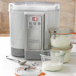 Weck Mold Jars, 12.5 oz, Set of 6