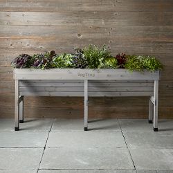Vegtrug Wallhugger, Medium, Grey