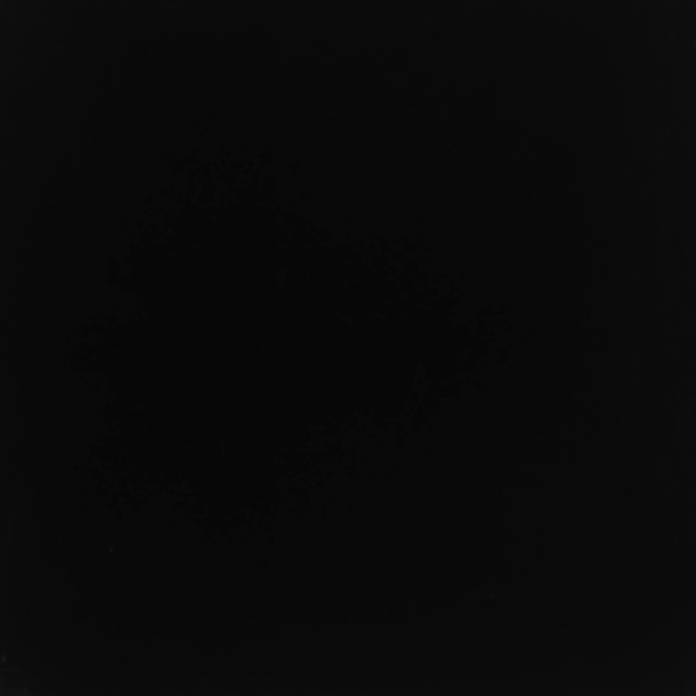 Ebony Wood Swatch