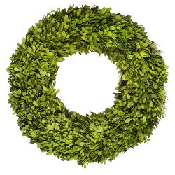 Preserved Boxwood Wreath, 20"