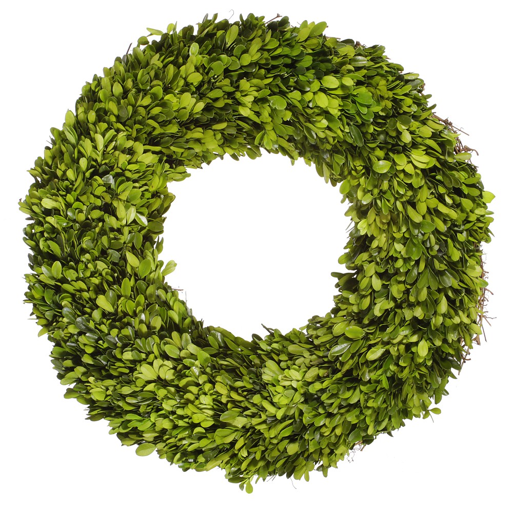 Preserved Boxwood Wreath, 20"