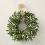 Field of Daisies Wreath, 20"