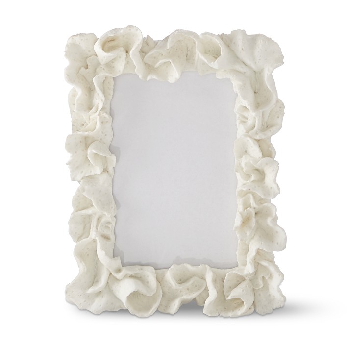 AERIN x Williams Sonoma Home Coral Frame