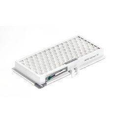 Miele Active HEPA AirClean Filter SFHA30