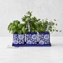 Blue & White Herb Starter Set