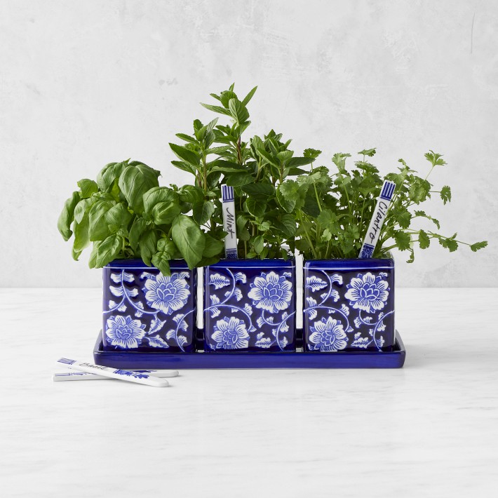 Blue & White Herb Starter Set