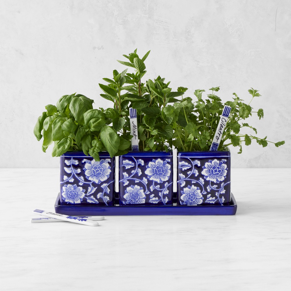 Blue & White Herb Starter Set