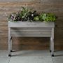 Vegtrug Wallhugger, Small, Grey