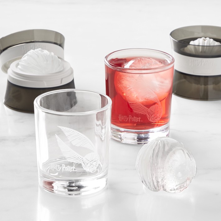 HARRY POTTER&#8482; x Williams Sonoma Snitch Ice &amp; Glass, Set of 2
