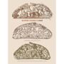 Super Sourdough Cookbook