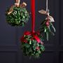 Mistletoe